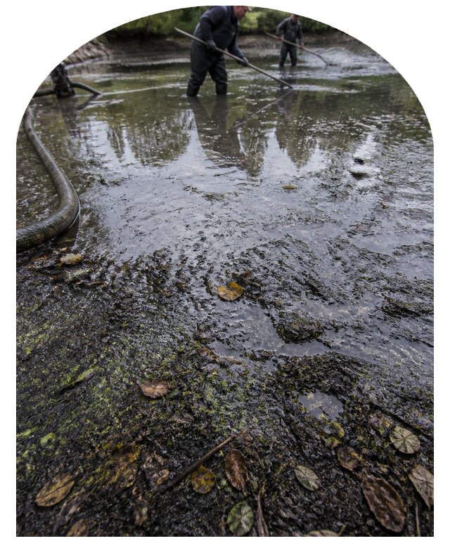 Очистка пруда в Асбесте от ила мусора и водорослей с вывозом